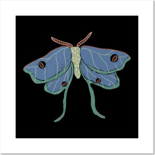 Luna moth Posters and Art